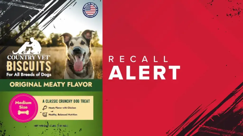 Salmonella Alert: 7 States Recall Dog Treats That Could Endanger Human Health