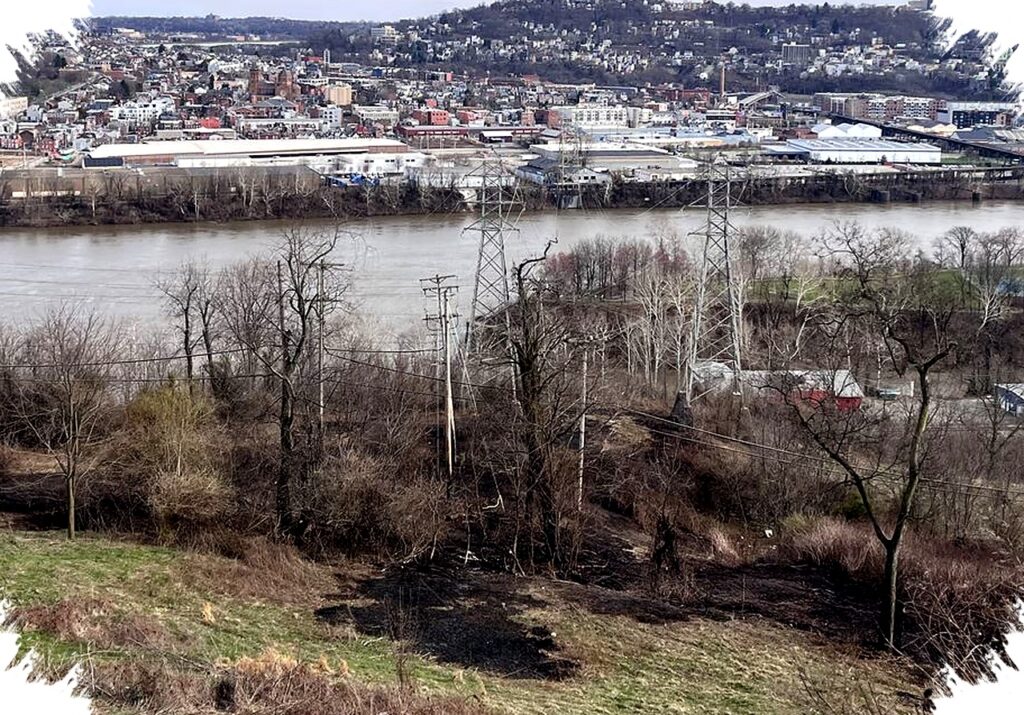 Reserve Brush Fire Ignited by Power Line Sparks Wind Advisory, Pittsburgh Braces for Gusty Threats