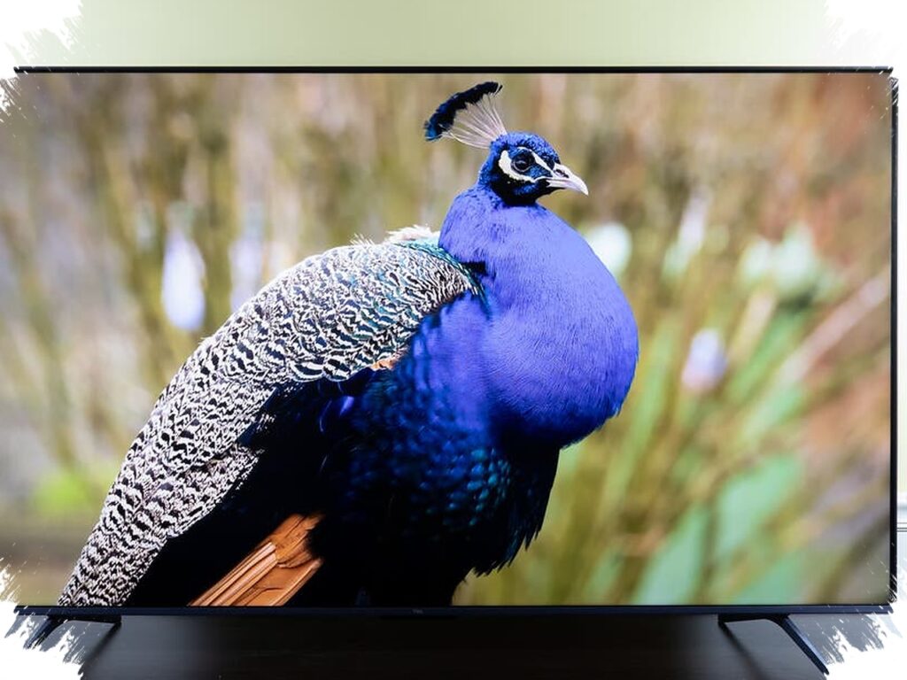 Compact Smart TVs Are Getting Harder To Ignore, Features Now Easing Budget Concerns