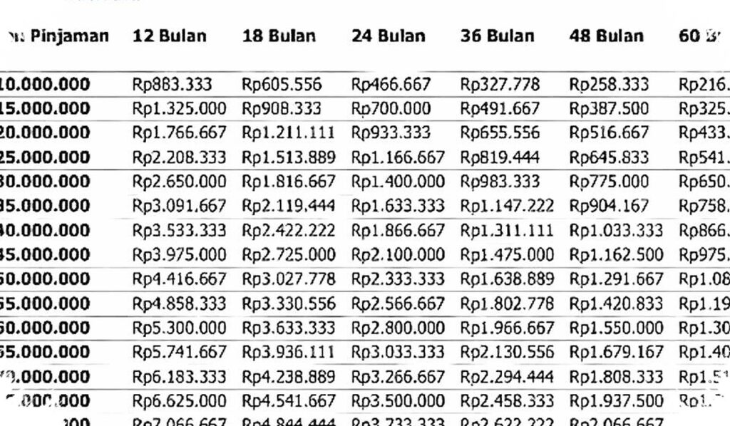 Online Applications Put KUR BRI 2026 Within Easier Reach, But Documents Decide the Pace