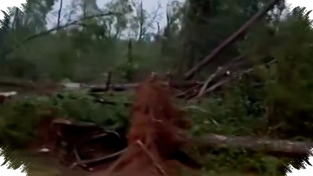 Violent Tornado Leaves Highway Buried In Debris, Major Sections Blocked