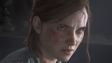A Fan-Made Multiplayer Mode Brings The Last Of Us Part 2 To PC Players