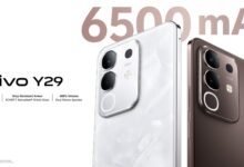 Vivo Y29 Brings a Curved 3D Screen and 80W Charging to a More Accessible Class