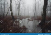 6 Gemini AI Prompts That Make Misty Marsh Photos Look Real Without Losing Identity
