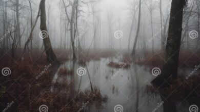 6 Gemini AI Prompts That Make Misty Marsh Photos Look Real Without Losing Identity