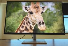 BenQ MA320UG Puts 4K, 120Hz, and Mac-Friendly Tools Into One 32-Inch Display