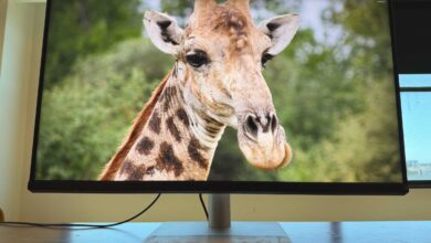 BenQ MA320UG Puts 4K, 120Hz, and Mac-Friendly Tools Into One 32-Inch Display