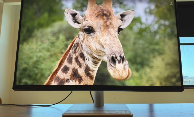 BenQ MA320UG Puts 4K, 120Hz, and Mac-Friendly Tools Into One 32-Inch Display