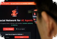 Bot-Driven Gambling Comments Surge 128 Percent, Social Media Moderation Faces New Pressure