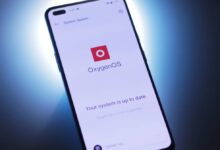 ColorOS May Absorb OxygenOS and Realme UI, OnePlus Fans Have Good Reason to Worry