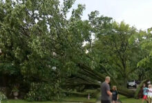 Severe Storms Snarl Fourth of July Plans in Chicago, More Than 70,000 Lose Power