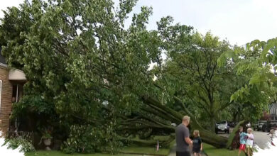 Severe Storms Snarl Fourth of July Plans in Chicago, More Than 70,000 Lose Power