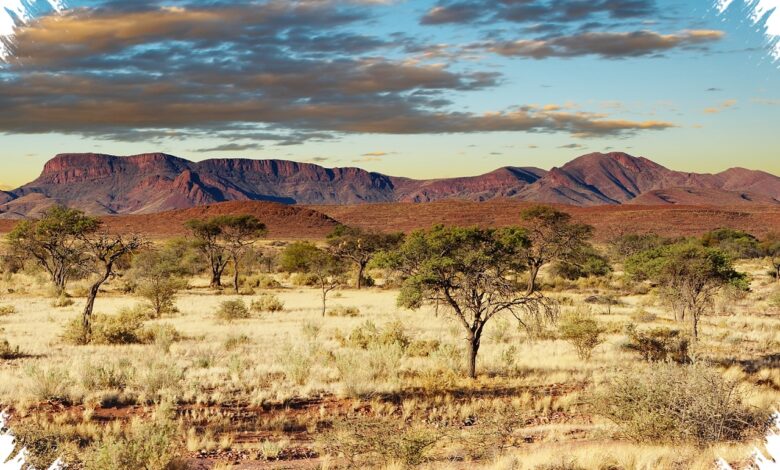 6 Gemini AI Prompts That Turn Savanna Photos Dramatic Without Losing Natural Detail