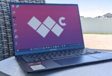 ZenBook 14 Drops to $799, an OLED Ryzen AI 7 Deal That Is Hard to Ignore
