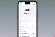 WhatsApp Tests A Green Dot on iPhone, A New Way to Spot Online Contacts