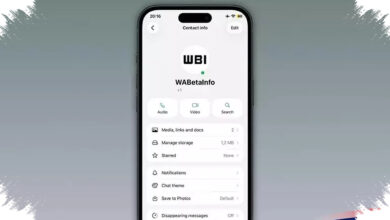 WhatsApp Tests A Green Dot on iPhone, A New Way to Spot Online Contacts