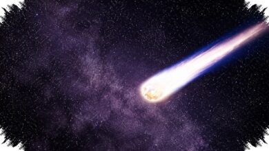 PUNCH Catches A Rare Solar Strike On Comet Lemmon, Its Tail Split In Two