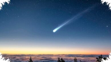 The Sun Can Pull Comets Back, Strange Cosmic Returns Leave Astronomers Rethinking