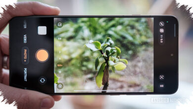 7 Oppo Phones in 2026, From Affordable A-Series to the Top-Tier Find X