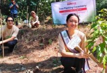 Sharp Turns Runners Into 600 Trees, and One Forest Habitat Gets a Second Chance