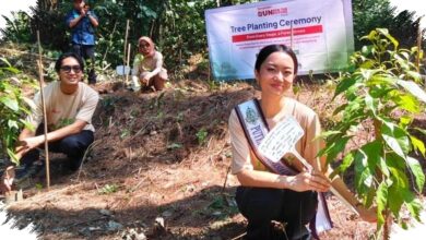 Sharp Turns Runners Into 600 Trees, and One Forest Habitat Gets a Second Chance
