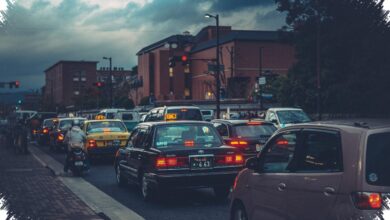 5 Electric SUVs Better Suited to Palembang Roads, From Safety to Comfort