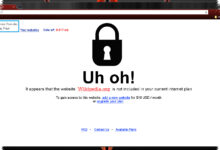Why "Pardon Our Interruption" Appears, and What It Usually Means for Your Browser
