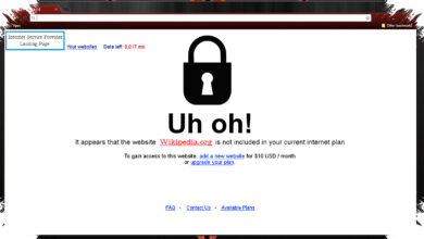 Why "Pardon Our Interruption" Appears, and What It Usually Means for Your Browser