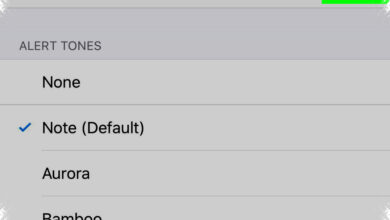 WhatsApp Notifications Can Say Your Name, and It Takes Only Minutes to Set Up