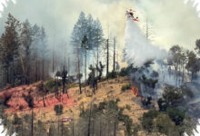 Evacuation Order Issued Near Santa Rosa, Ledson Fire Pushes Uphill in Dry Heat