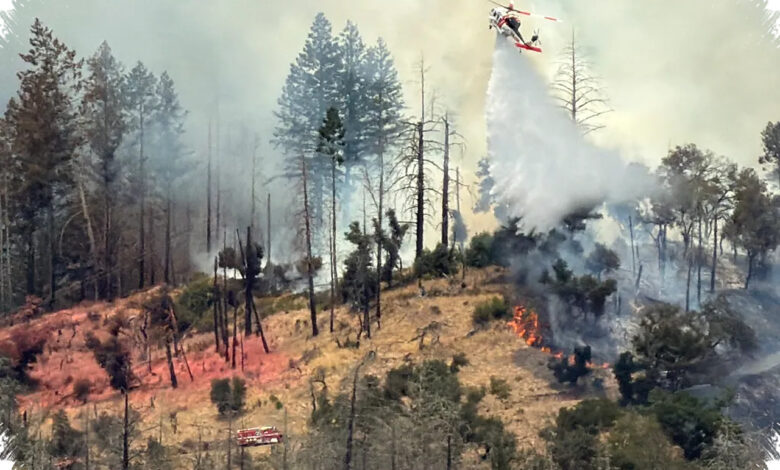 Evacuation Order Issued Near Santa Rosa, Ledson Fire Pushes Uphill in Dry Heat