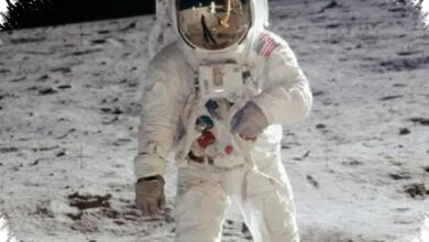 Space May Speed Up Aging, and the Liver Appears to Take the Biggest Hit