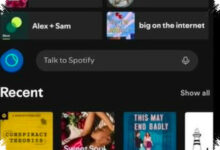 Spotify Tests Talk to Spotify, Search Can Now Happen Through Conversation