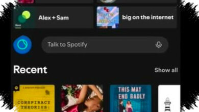 Spotify Tests Talk to Spotify, Search Can Now Happen Through Conversation