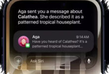 Siri AI Takes Center Stage as Apple Opens iOS 27 Public Beta