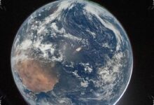 Earth’s Plants May Vanish Long Before the Sun Reaches Its Red Giant Phase