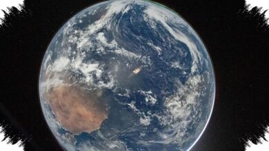 Earth’s Plants May Vanish Long Before the Sun Reaches Its Red Giant Phase