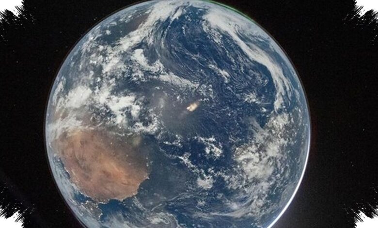 Earth’s Plants May Vanish Long Before the Sun Reaches Its Red Giant Phase