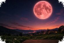 Venus and a Young Crescent Moon Will Share the Western Sky on July 17, 2026