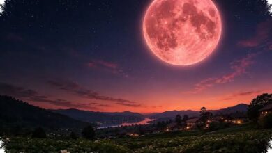 Venus and a Young Crescent Moon Will Share the Western Sky on July 17, 2026
