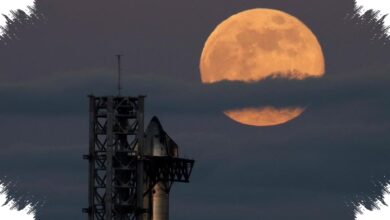 Starship Launch Halted Seconds Before Liftoff, SpaceX to Replace Two Raptor Engines