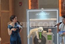 Indonesia Becomes Acerpure’s Second Subsidiary Market, With Young Buyers in Focus