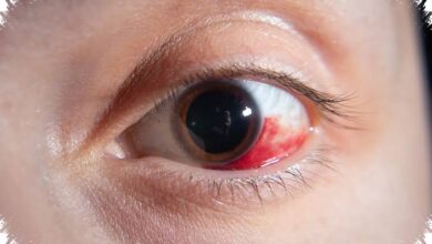 A Donor Retina Responded to Light 10 Hours After Death, Opening New Research Paths