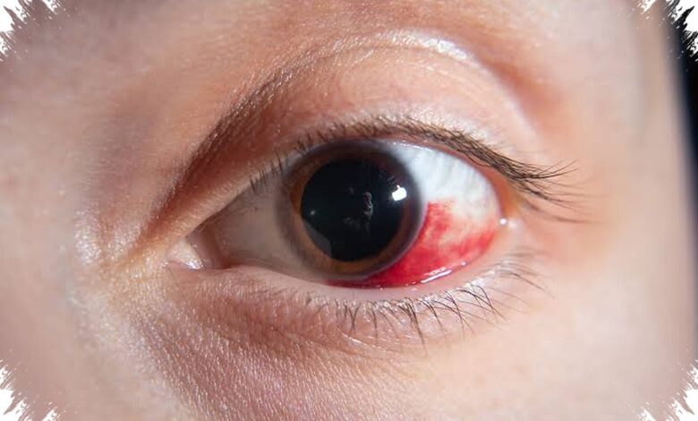 A Donor Retina Responded to Light 10 Hours After Death, Opening New Research Paths