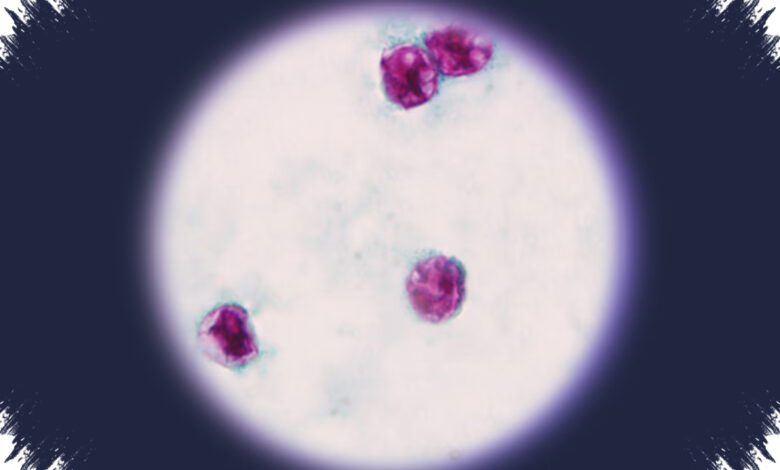A Cyclospora Outbreak Exposed the Gaps in America’s Food Safety Defenses