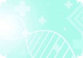 Human Donor Retina Responds to Light Hours After Death, Offering a New Research Window