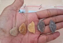 Stone Tools Reveal a 40,000-Year Path to Sulawesi’s Toalean Culture