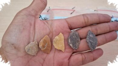 Stone Tools Reveal a 40,000-Year Path to Sulawesi’s Toalean Culture