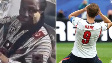 From an Octopus to a Ghanaian Shaman, 5 World Cup Predictors Put to the Test