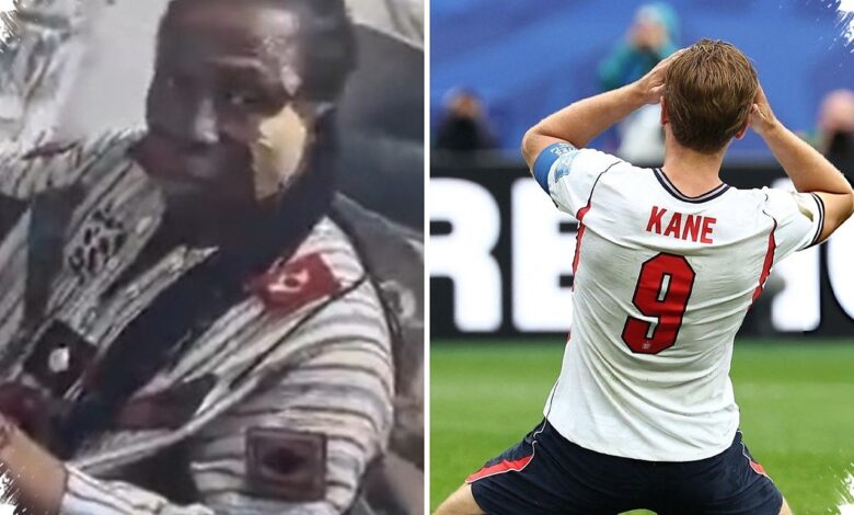 From an Octopus to a Ghanaian Shaman, 5 World Cup Predictors Put to the Test